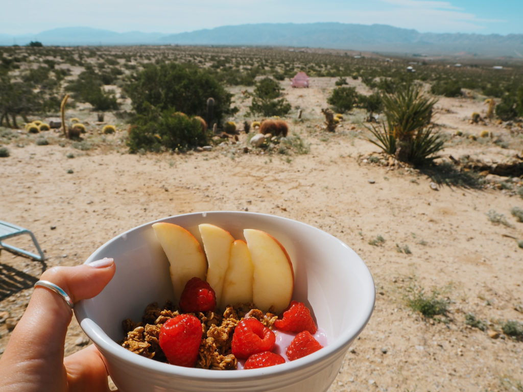 Vegan Food in the USA