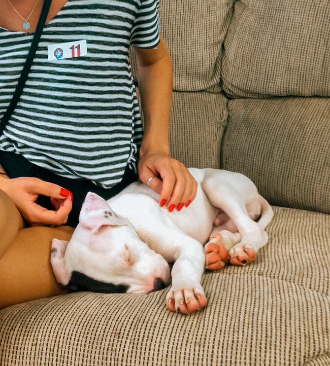 Cuddling with rescue dogs