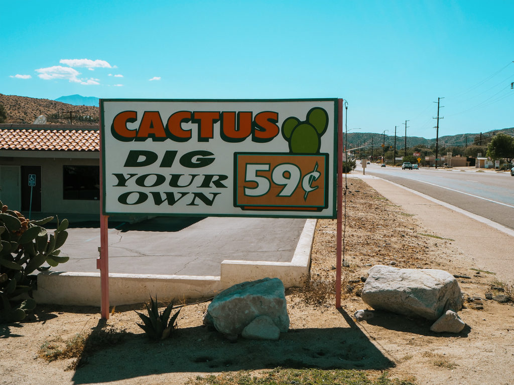 The Cactus Mart in Joshua Tree