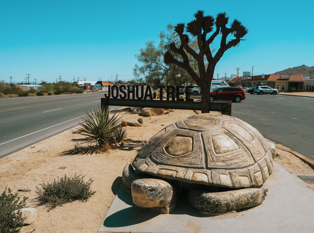 Conscious Travel Guide Joshua Tree