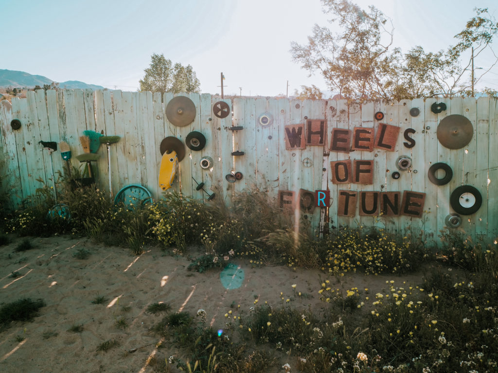 Travel Guide Joshua Tree Things to do