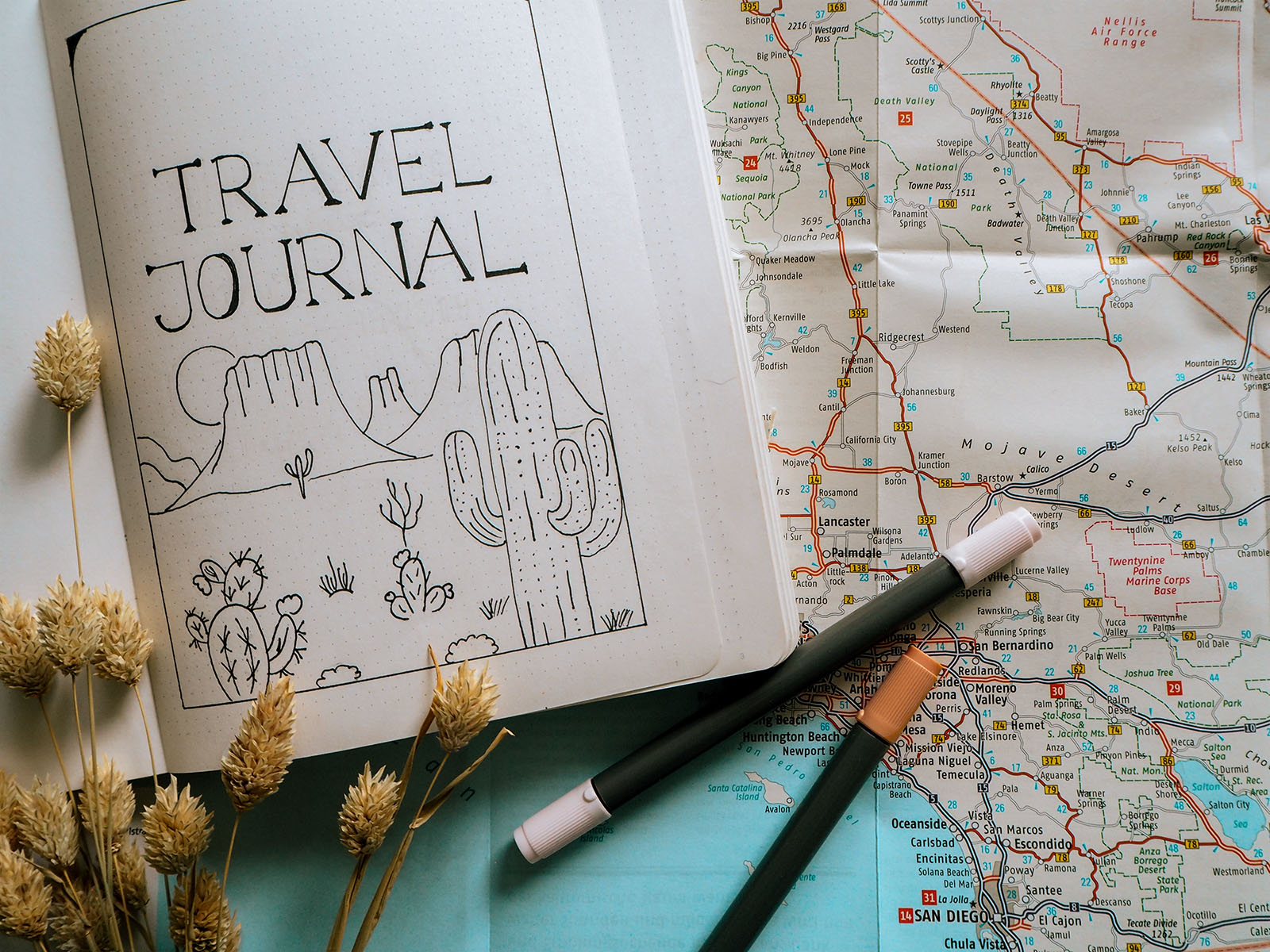 travel journal 101